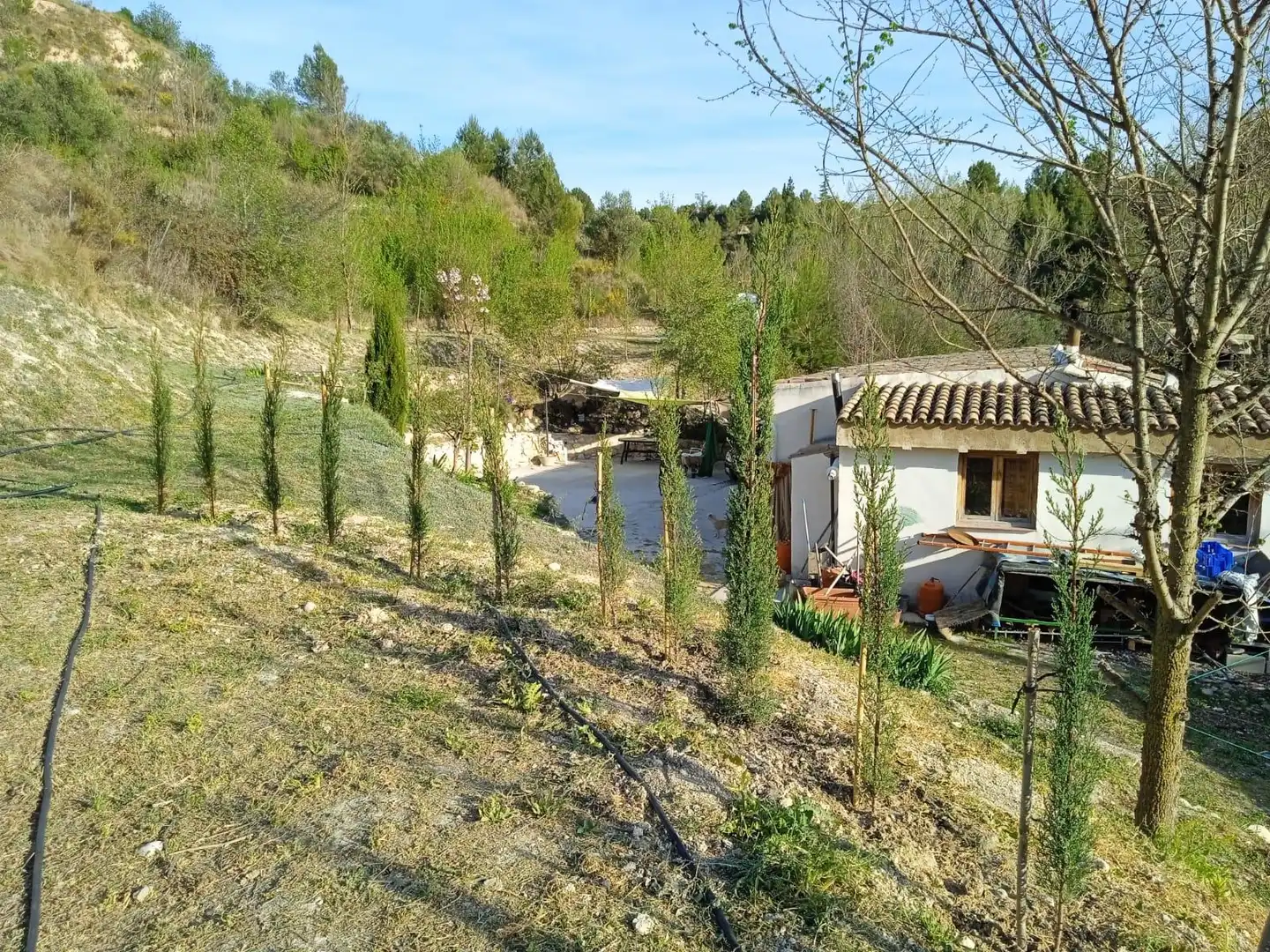 Jardín de Finca rústica en venta en Cocentaina