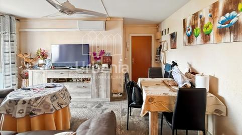 Foto 2 de Pis en venda a Santa Susanna, Barcelona