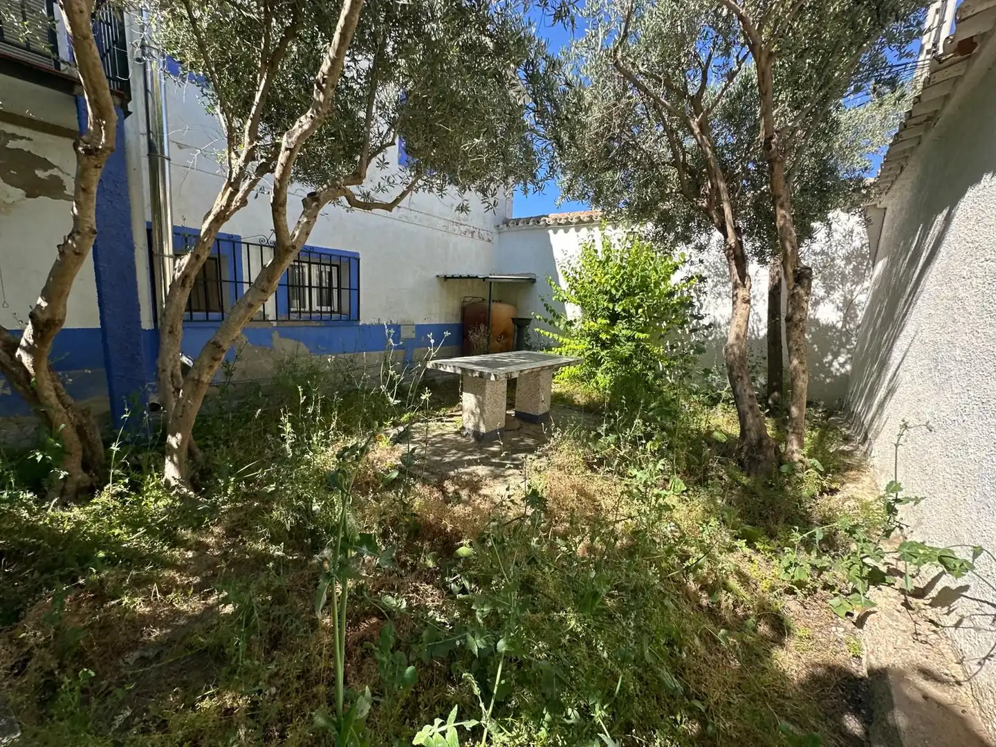 Garden of Houses for sale in Argamasilla de Alba  with Balcony
