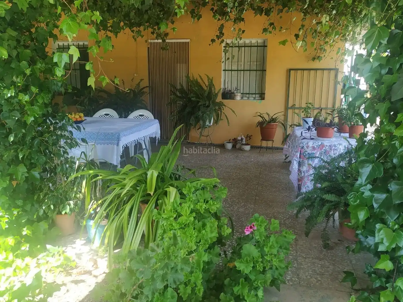 Rustikales Grundstück zum Verkauf in Camino de los Corrales 64, imagen 6