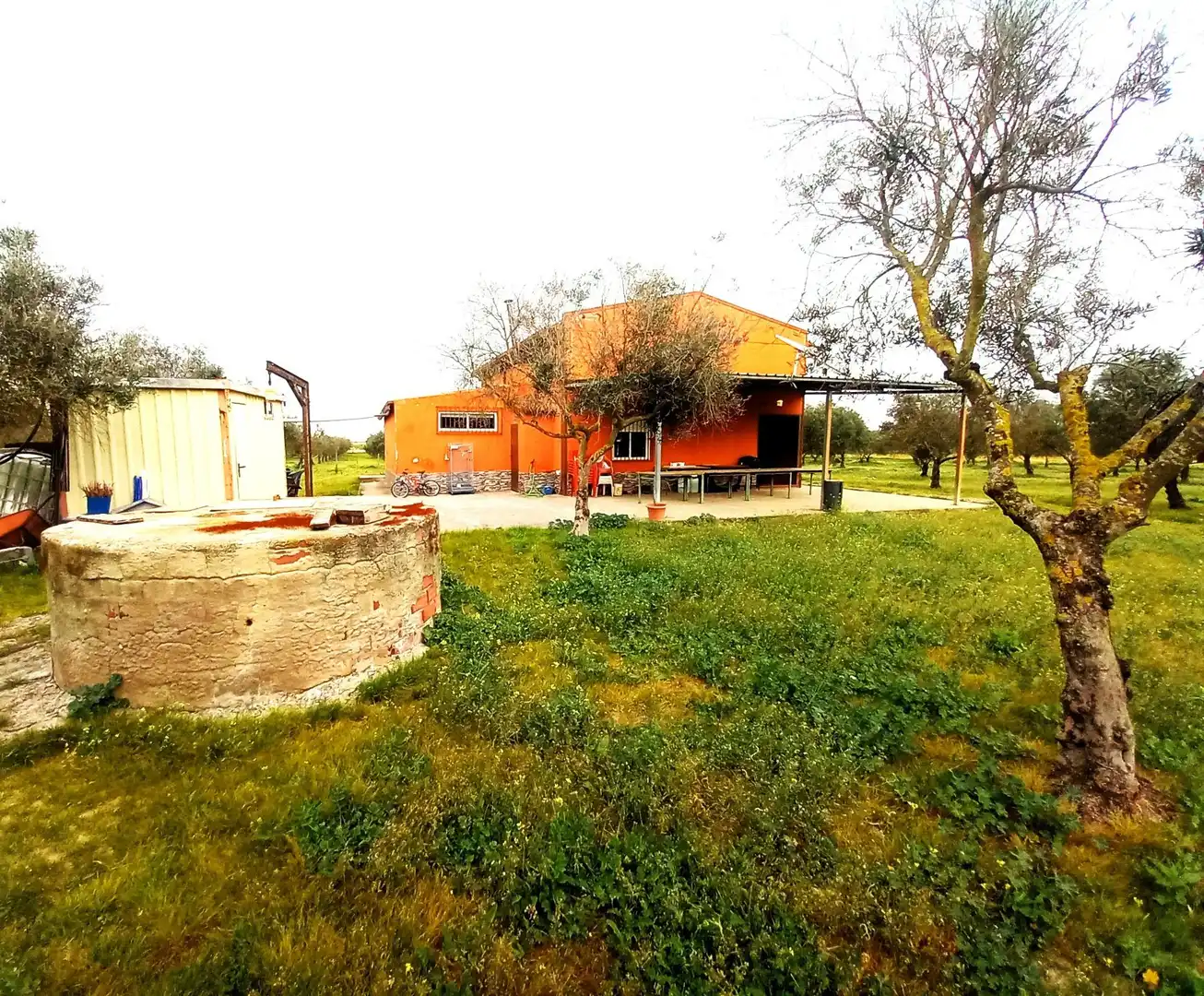 Garden of Country homes for sale in Jerez de la Frontera  with Terrace