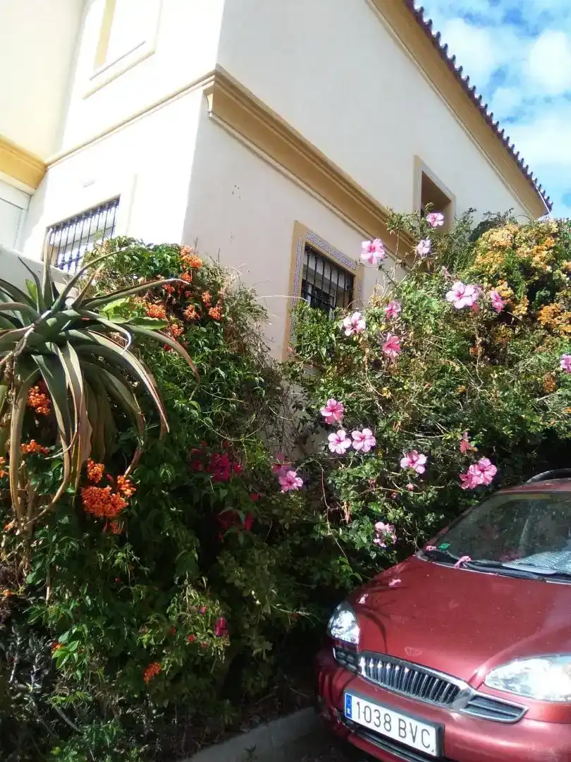Jardí de Casa adosada en venda en Rincón de la Victoria