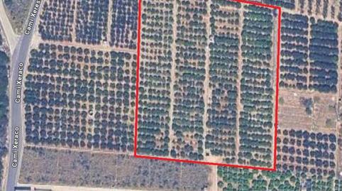 Foto 3 de Terreno en venta en Camino Xeraco a Xeresa, Xeraco, Valencia