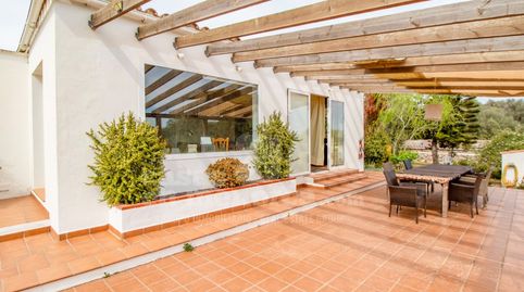 Finca con piscina y licencia en Llucmesanes, imatge 3