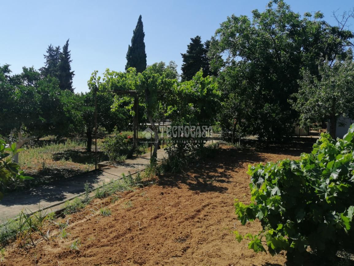 Finca rústica en venda en Montilla amb Aire condicionat i Calefacció