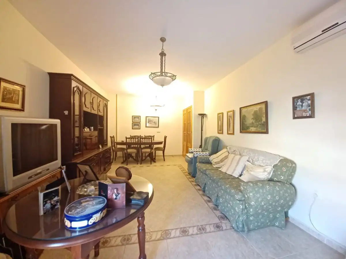 Sala d'estar de Pis en venda en Loja amb Aire condicionat i Balcó