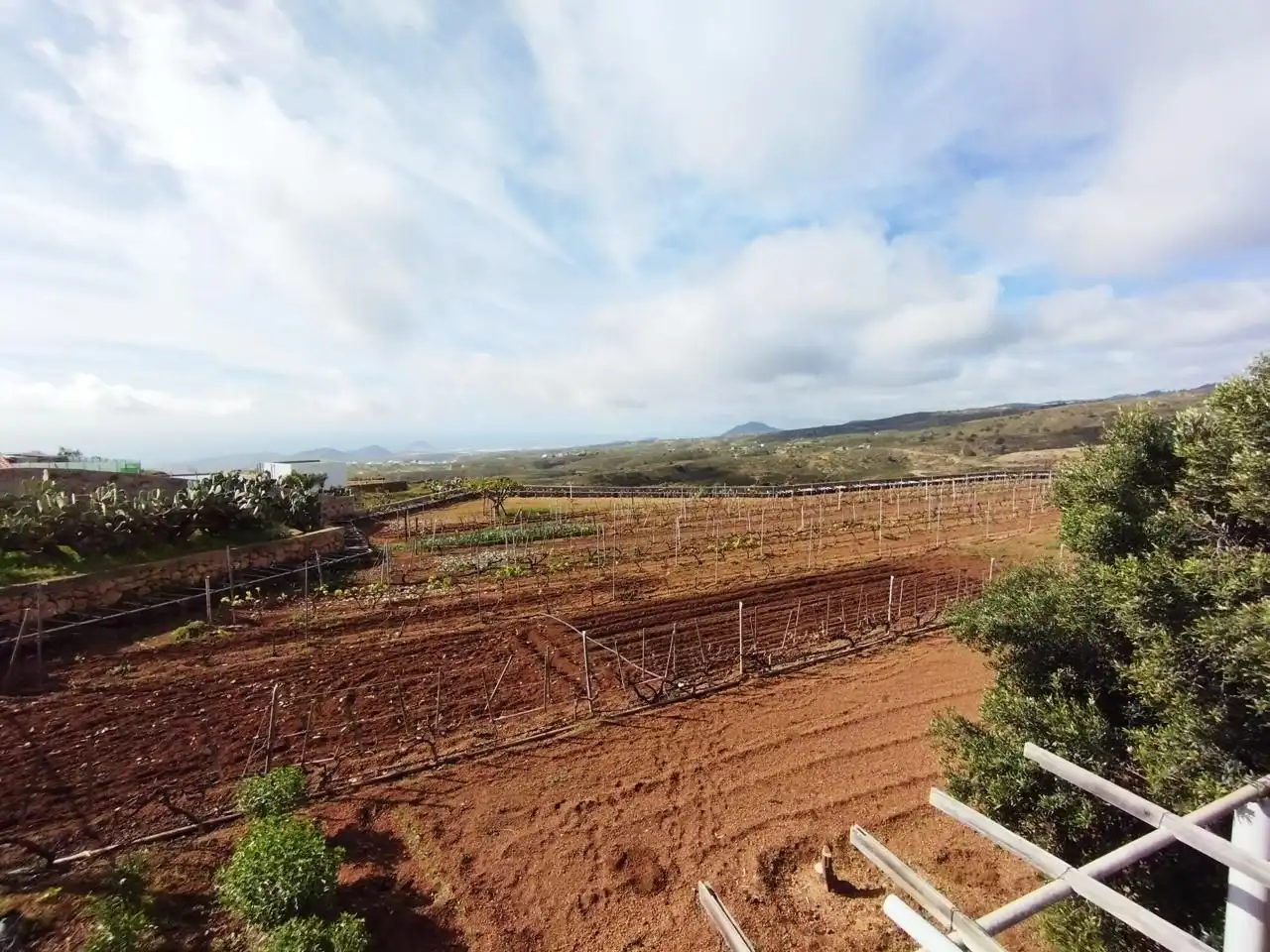Terreno rustico in vendita a Arico, imagen 11