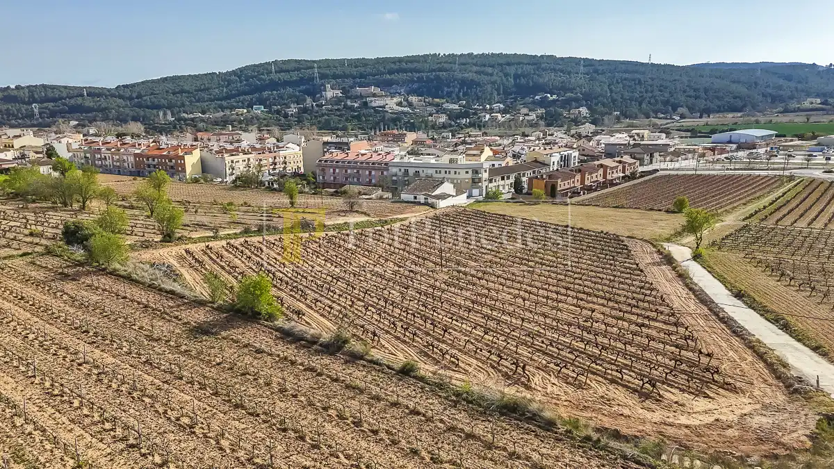 Terreny residencial en venda a Carrer de les Vinyes, imagen 5