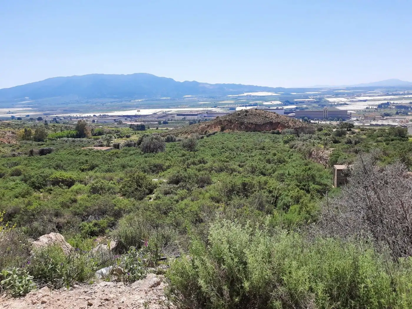 Terreny residencial en venda a Alhama de Murcia ciudad