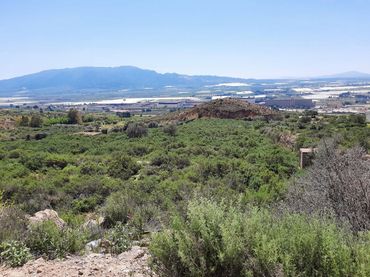 Terreno residenziale in vendita a Alhama de Murcia ciudad