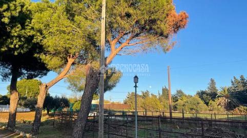 Foto 2 de Finca rústica en venda a Los Franceses – La Vega, Chiclana de la Frontera