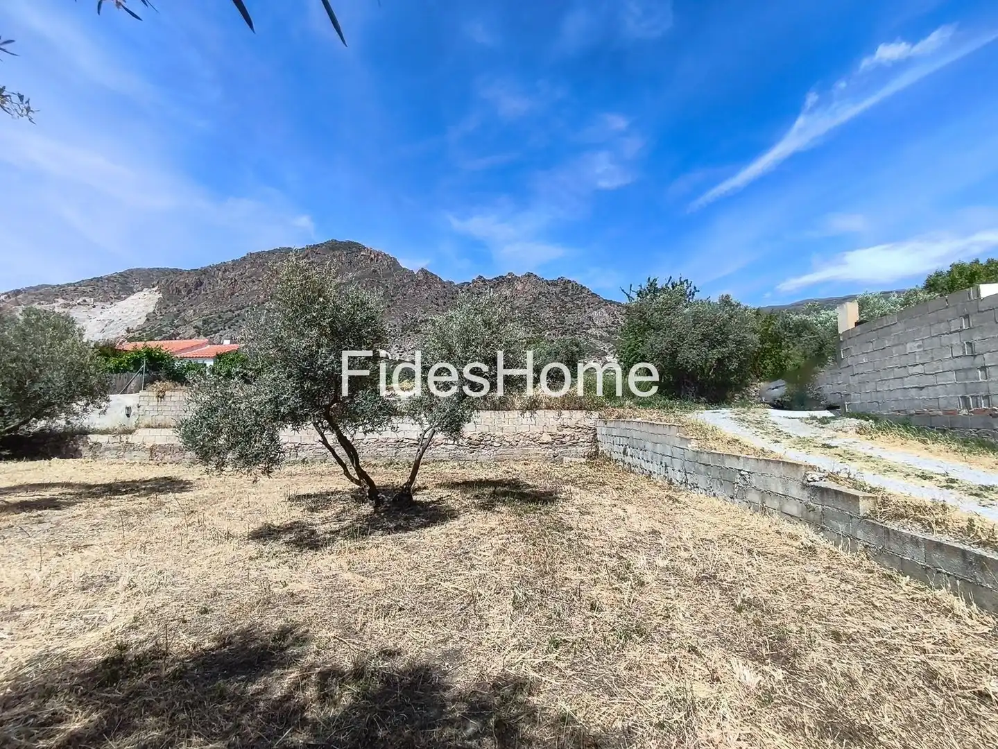 Rural land for sale in XFJ3+526 Nigüelas 0, imagen 2