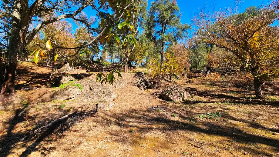 Terreni e lotti in vendita a Galaroza, imagen 21