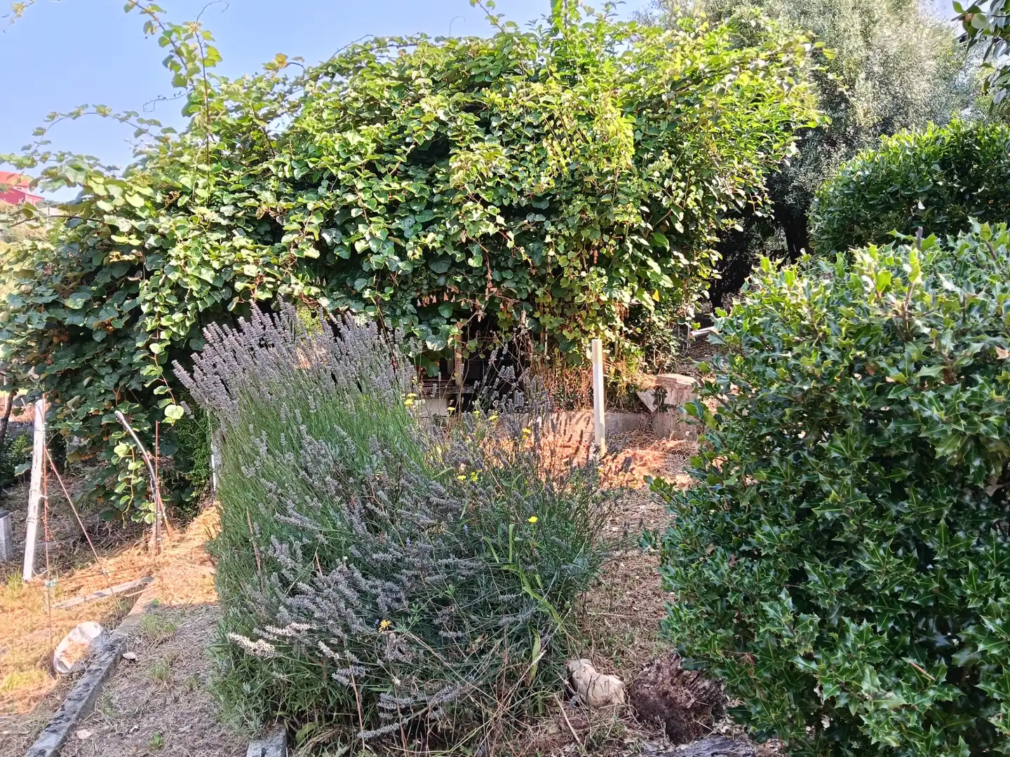Maison avec jardin à vendre à Rúa Saavedra Meneses 87, imagen 16