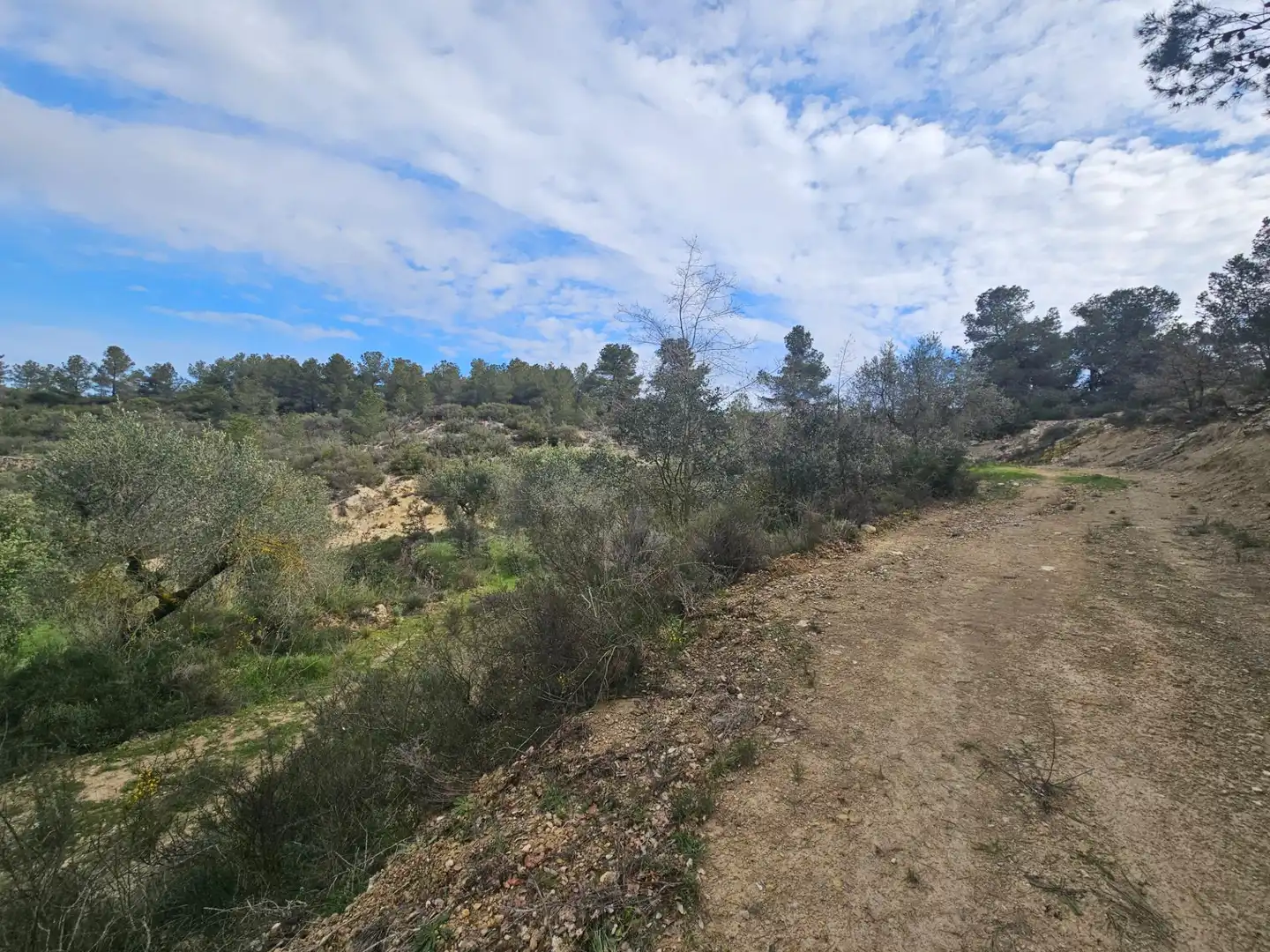 Rural land for sale in Cervià de Les Garrigues, imagen 15