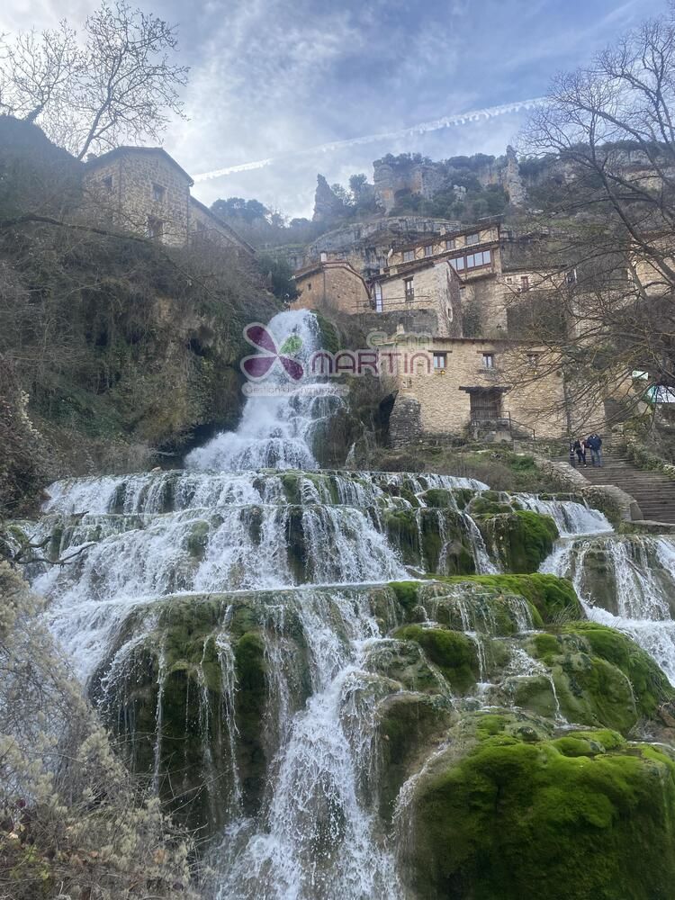 Exterior view of Country house for sale in Valle de Sedano