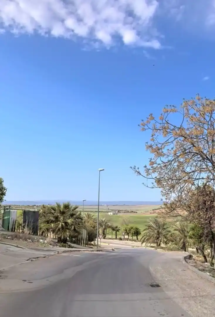 Casa o chalet en venta en La Campana