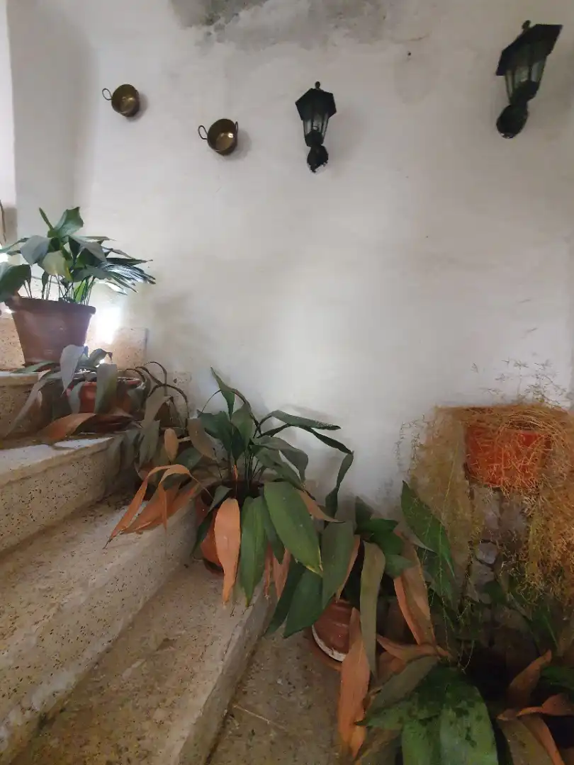 Casa con jardín en venta en Guadix, imagen 4