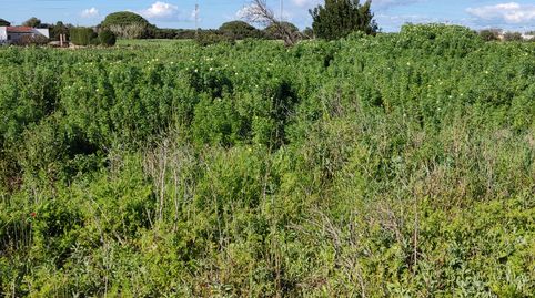 Foto 4 de Terreno en venta en Calle, Barrio Nuevo, Conil de la Frontera