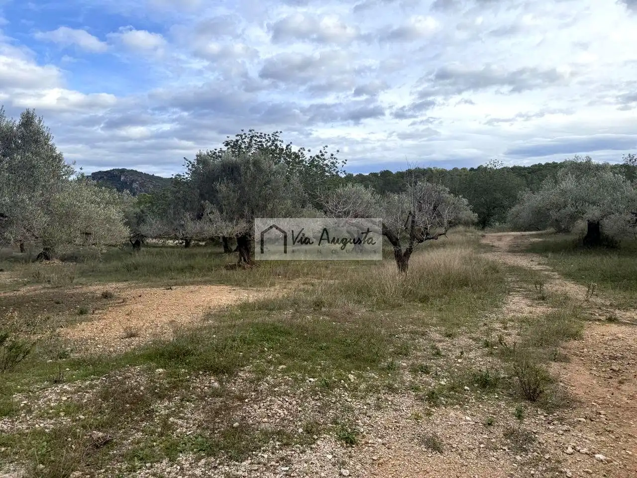Grundstücke zum Verkauf in L'Ametlla de Mar 