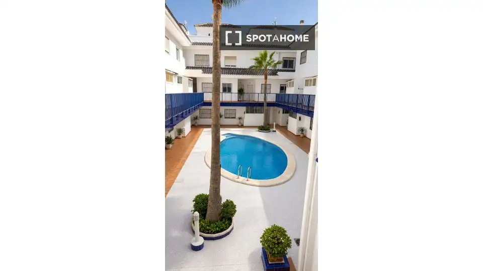 Piscina de Apartament per a compartir en Torrevieja amb Aire condicionat, Calefacció i Terrassa