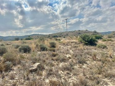 Terreno rustico in vendita a Aspe Centro