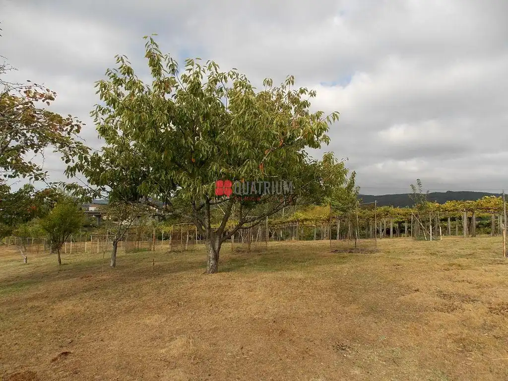 Casa o xalet en venda en Padrón amb Jardí privat