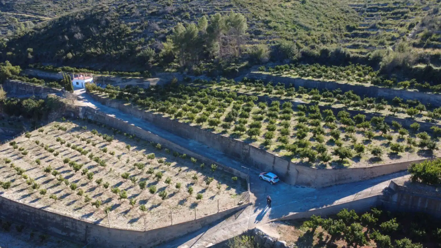 Terrenys i solars en venda a L'Atzúbia