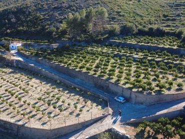 Terrenys i solars en venda a L'Atzúbia