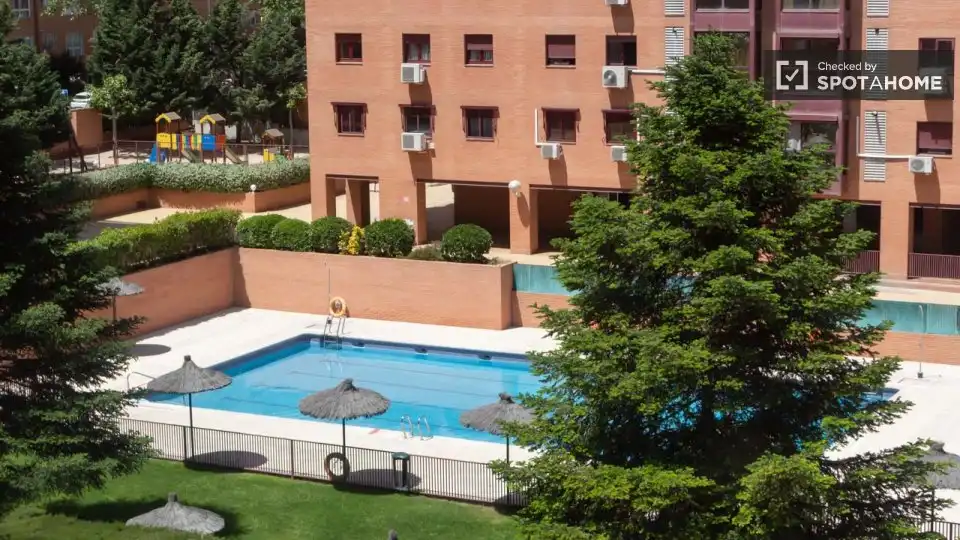 Swimming pool of Flat for rent in Madrid  with Air Conditioner, Heating and Furnished
