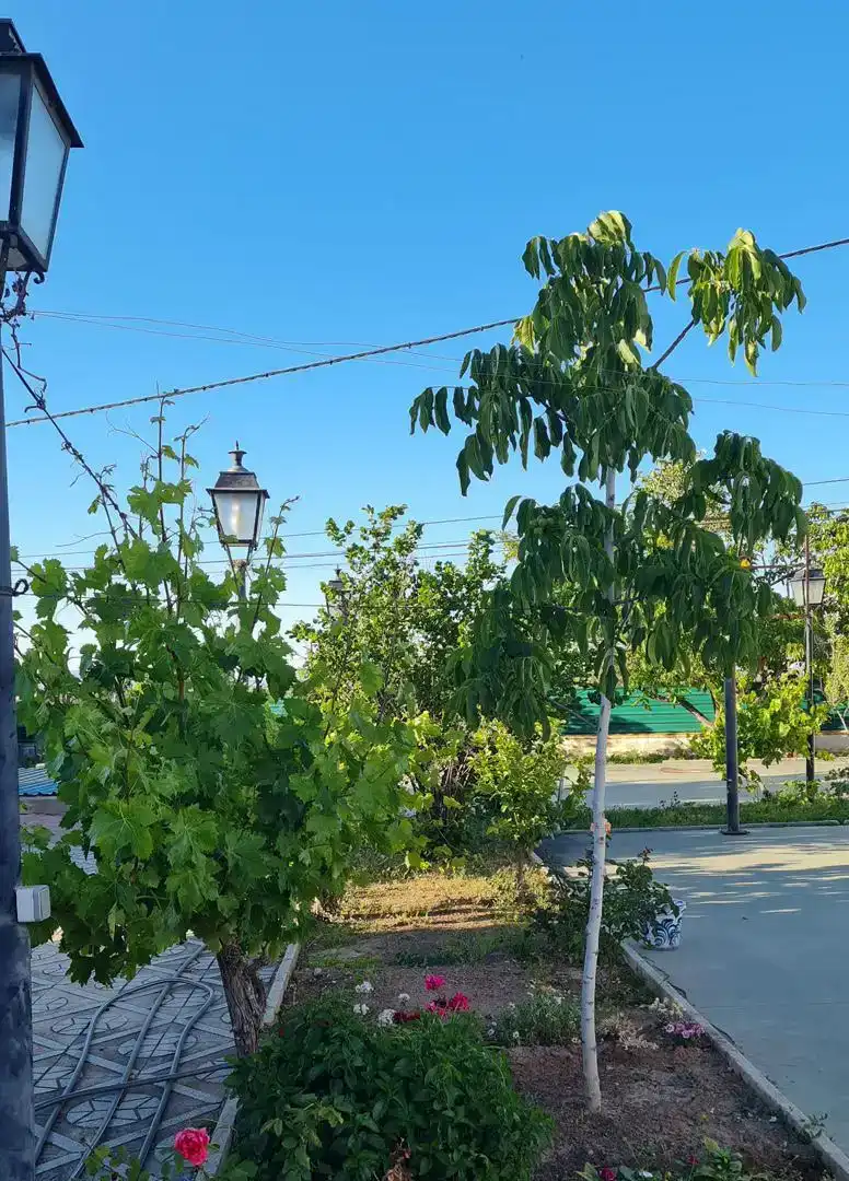 Vista exterior de Casa o chalet en venta en Baza con Jardín privado y Piscina