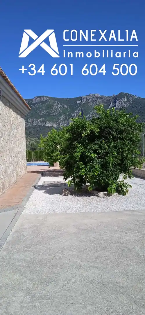 Jardín de Finca rústica en venta en Algodonales con Piscina