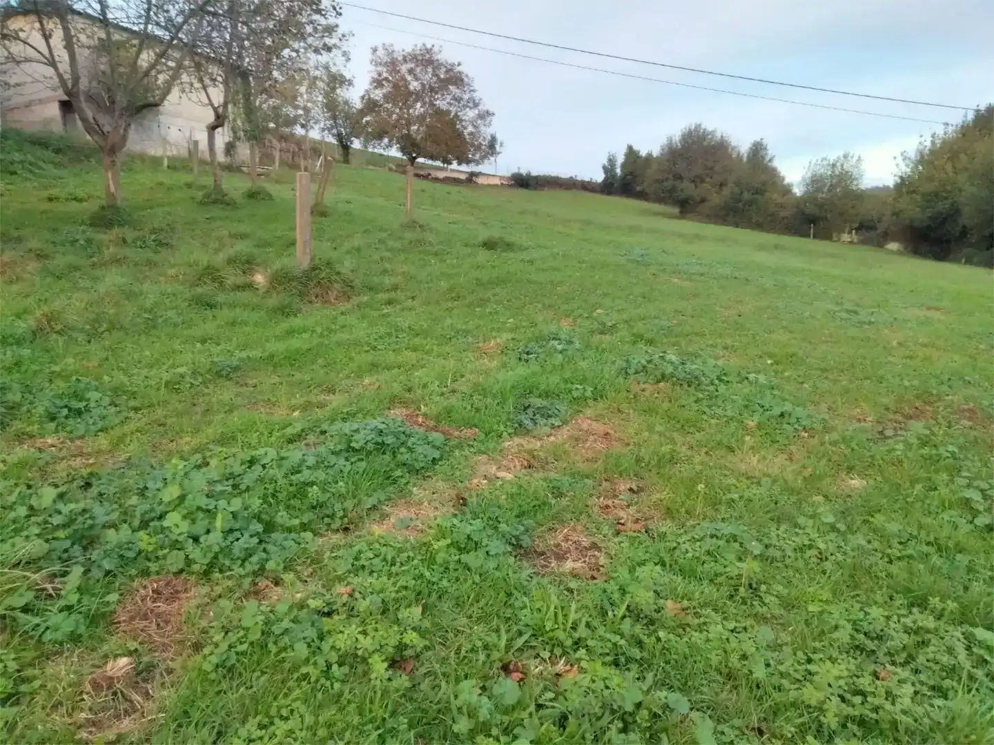 Casa o chalet en venta en Llanera