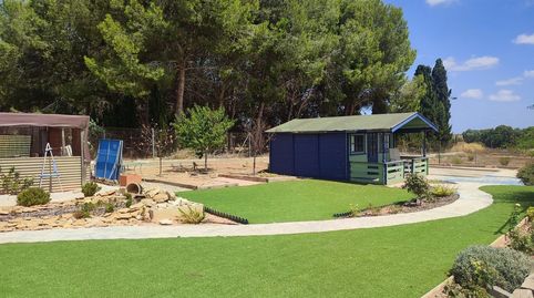 Photo 3 of Houses for sale in La Torre Golf, Torre-Pacheco