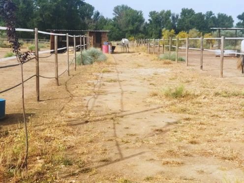 Exterior view of Land for sale in Valdetorres de Jarama