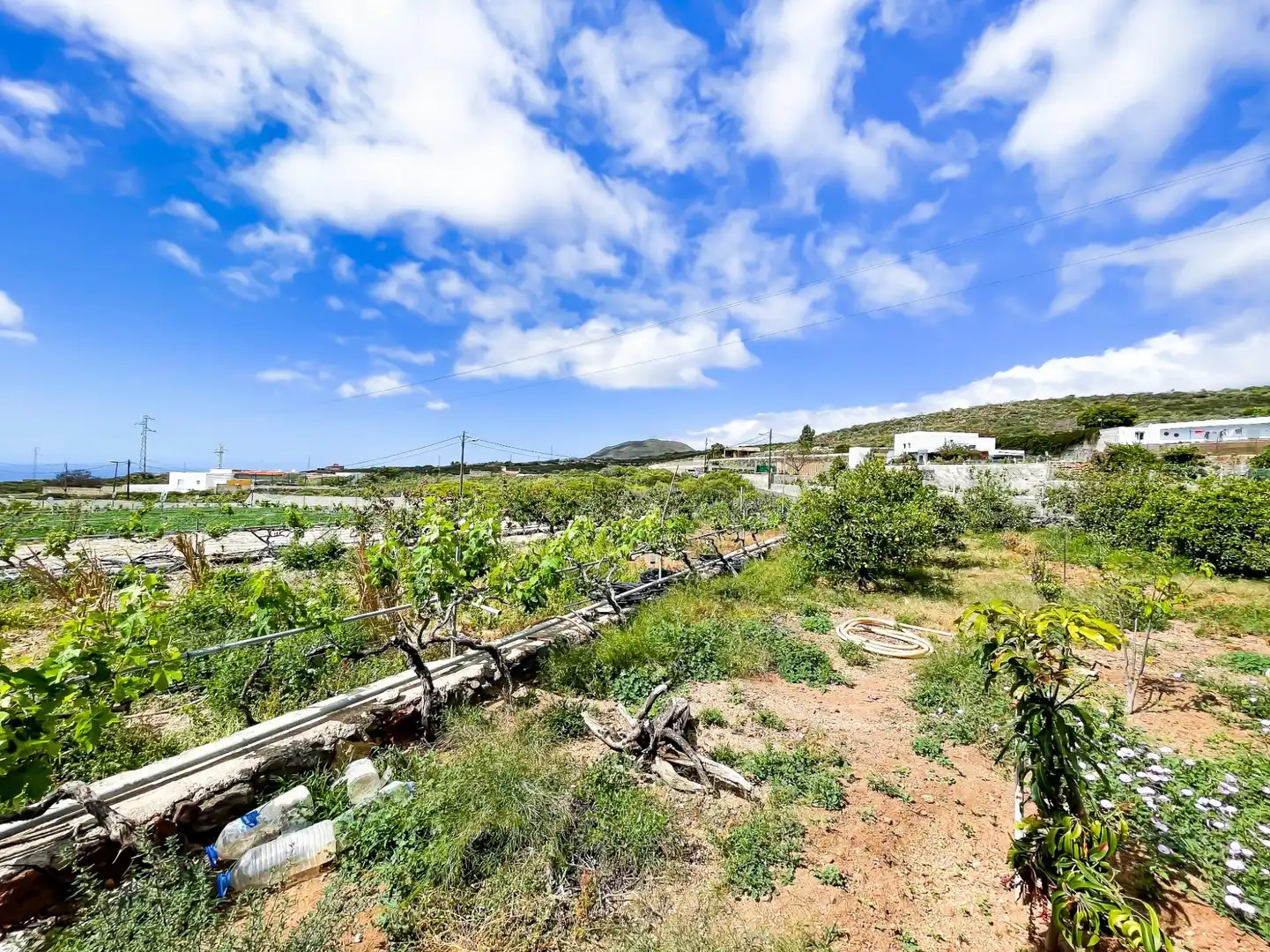 Casa o chalet en venta en Granadilla de Abona con Jardín privado, Terraza y Amueblado