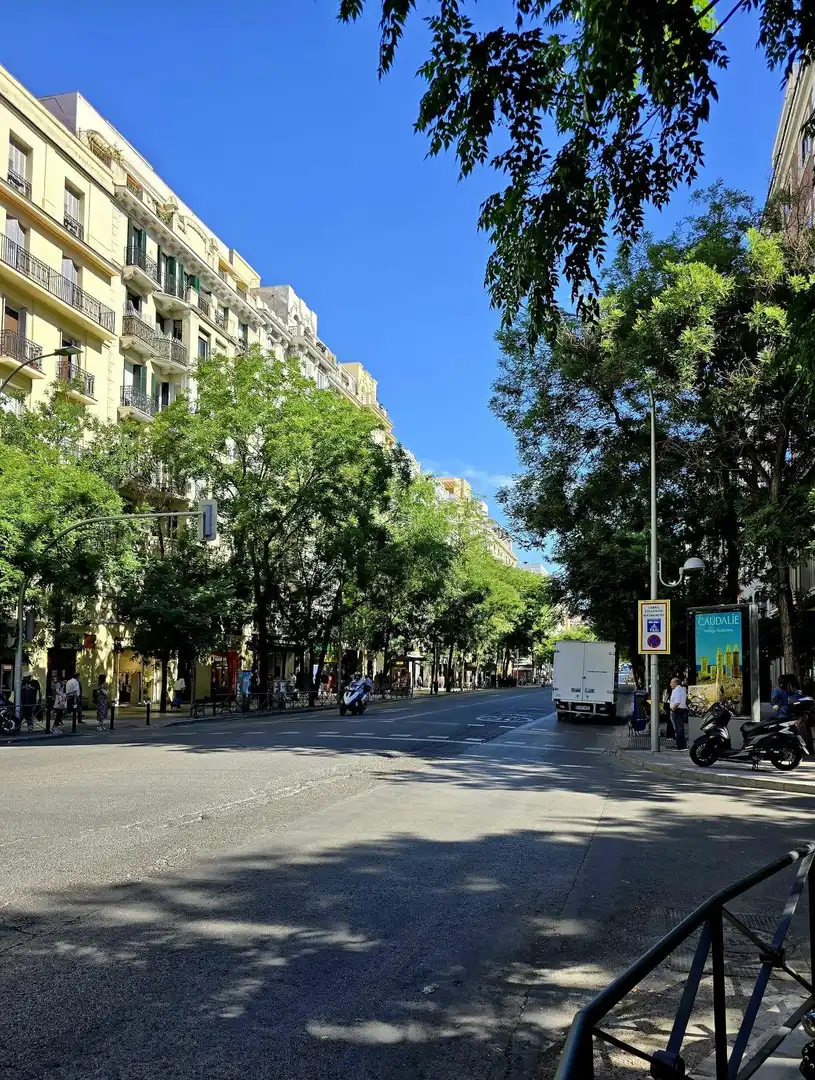 Appartement avec ascenseur à vendre à Barrio de Salamanca, imagen 2