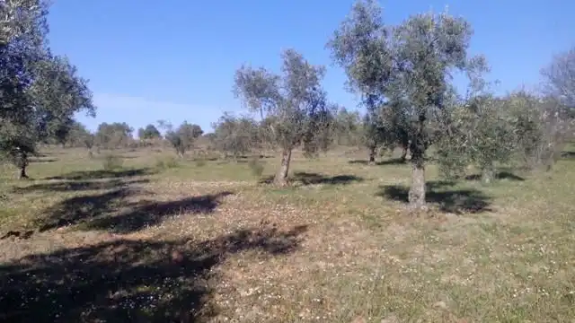Residencial en venda en Valsequillo