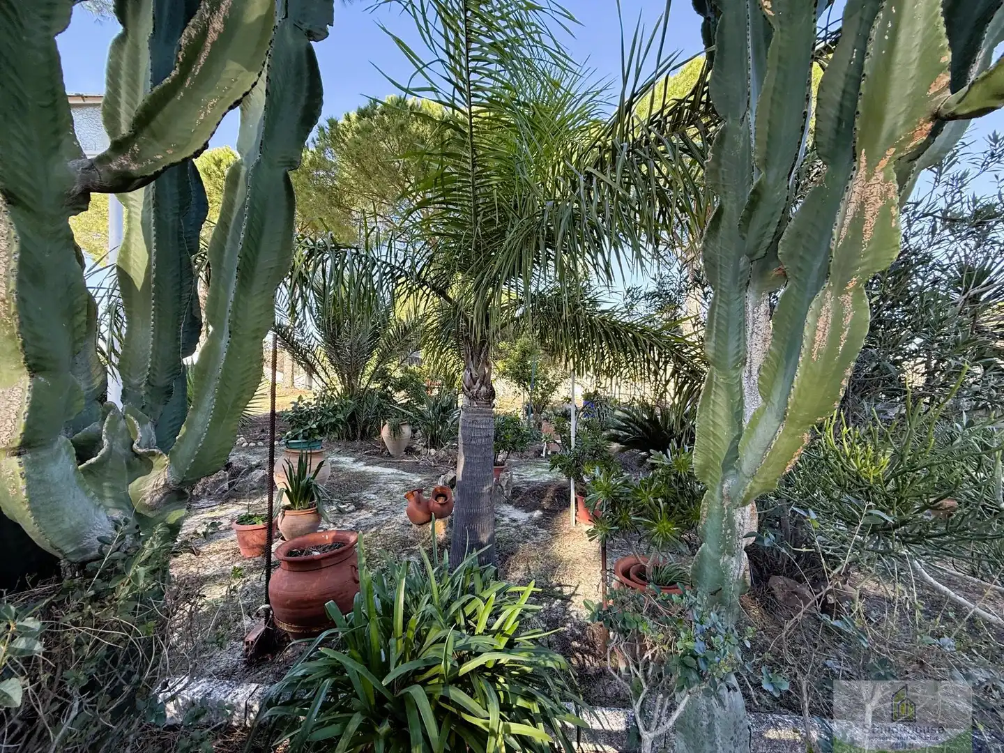 Jardín de Casa o chalet en venta en Bonares con Aire acondicionado, Calefacción y Terraza