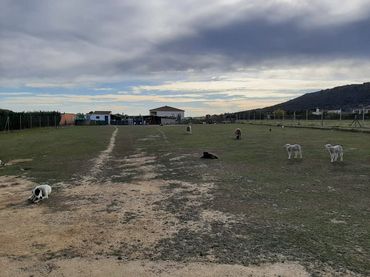 Terreno rústico en venta en Valdesalor - Rincón de Ballesteros