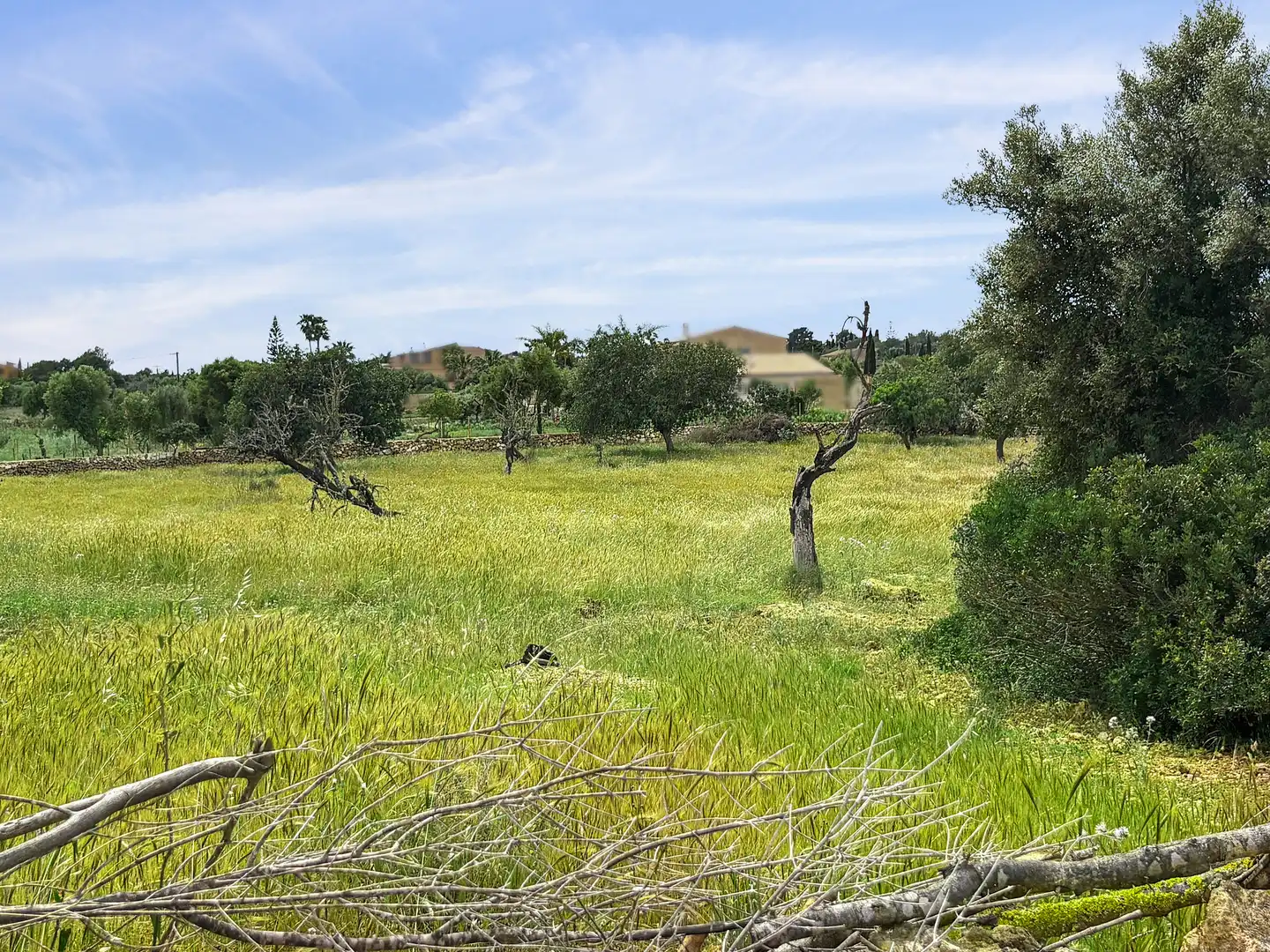 Residential for sale in Manacor Centre