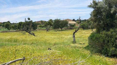 Foto 2 de Residencial en venda a Manacor Centre, Illes Balears
