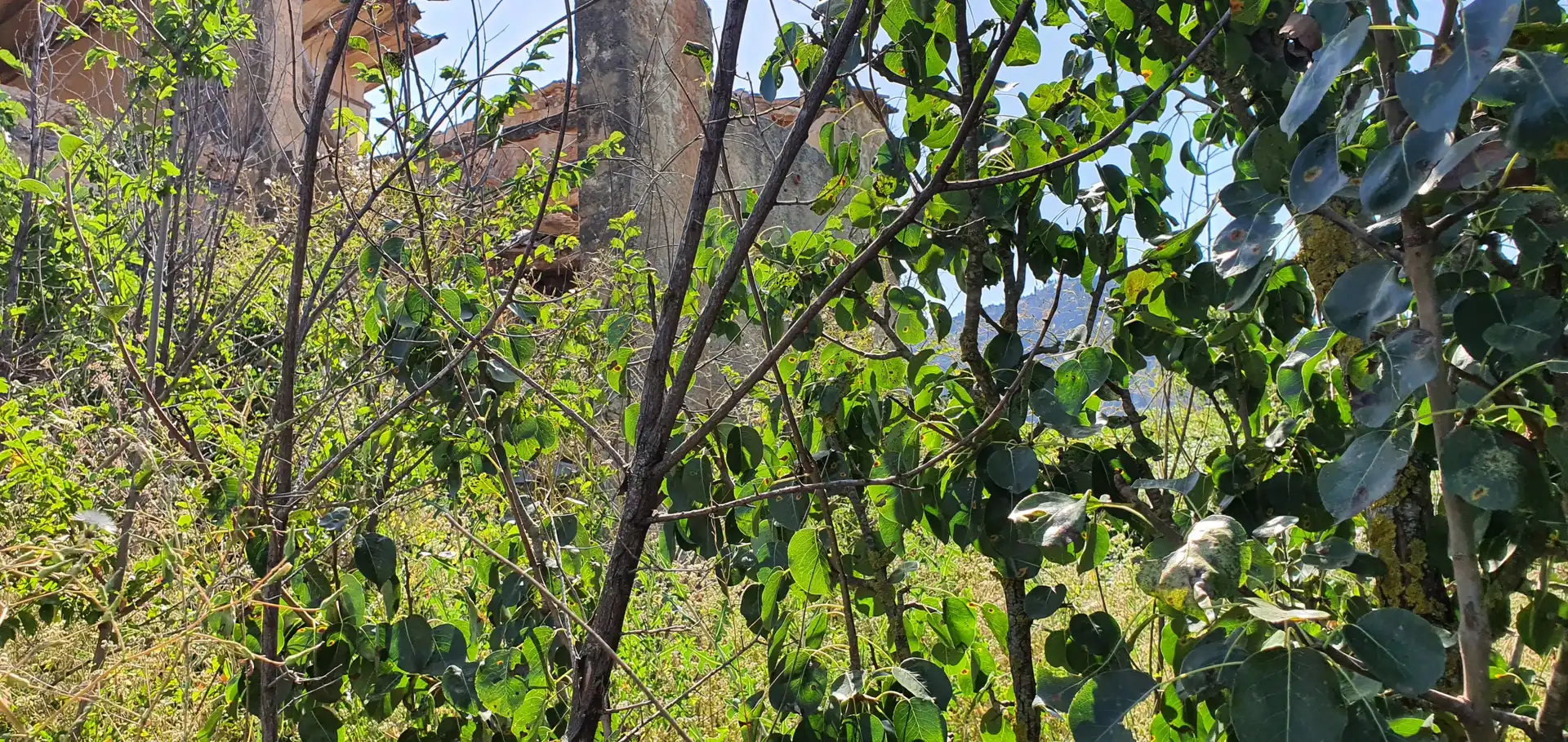 Casa o xalet en venda en Horta de Sant Joan