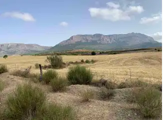 Terreny en venda en Vélez-Rubio