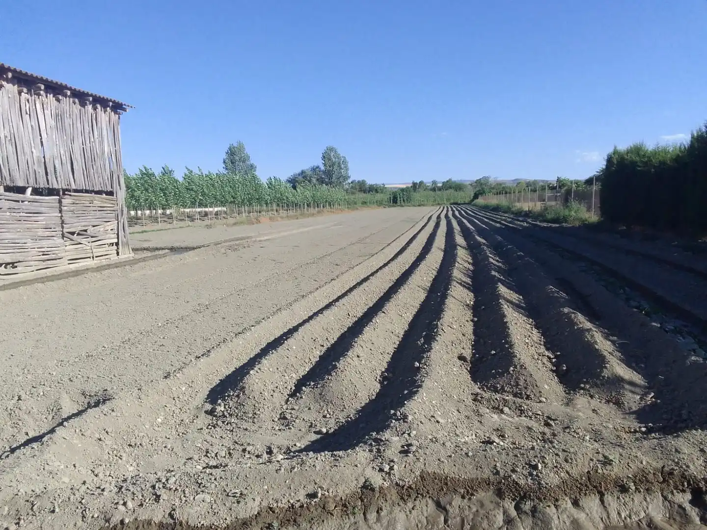 Terrains et parcelles à vendre à Fuente Vaqueros