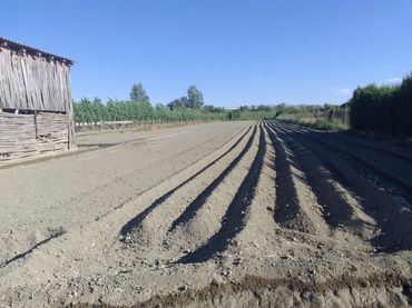 Terreno rustico in vendita a Fuente Vaqueros