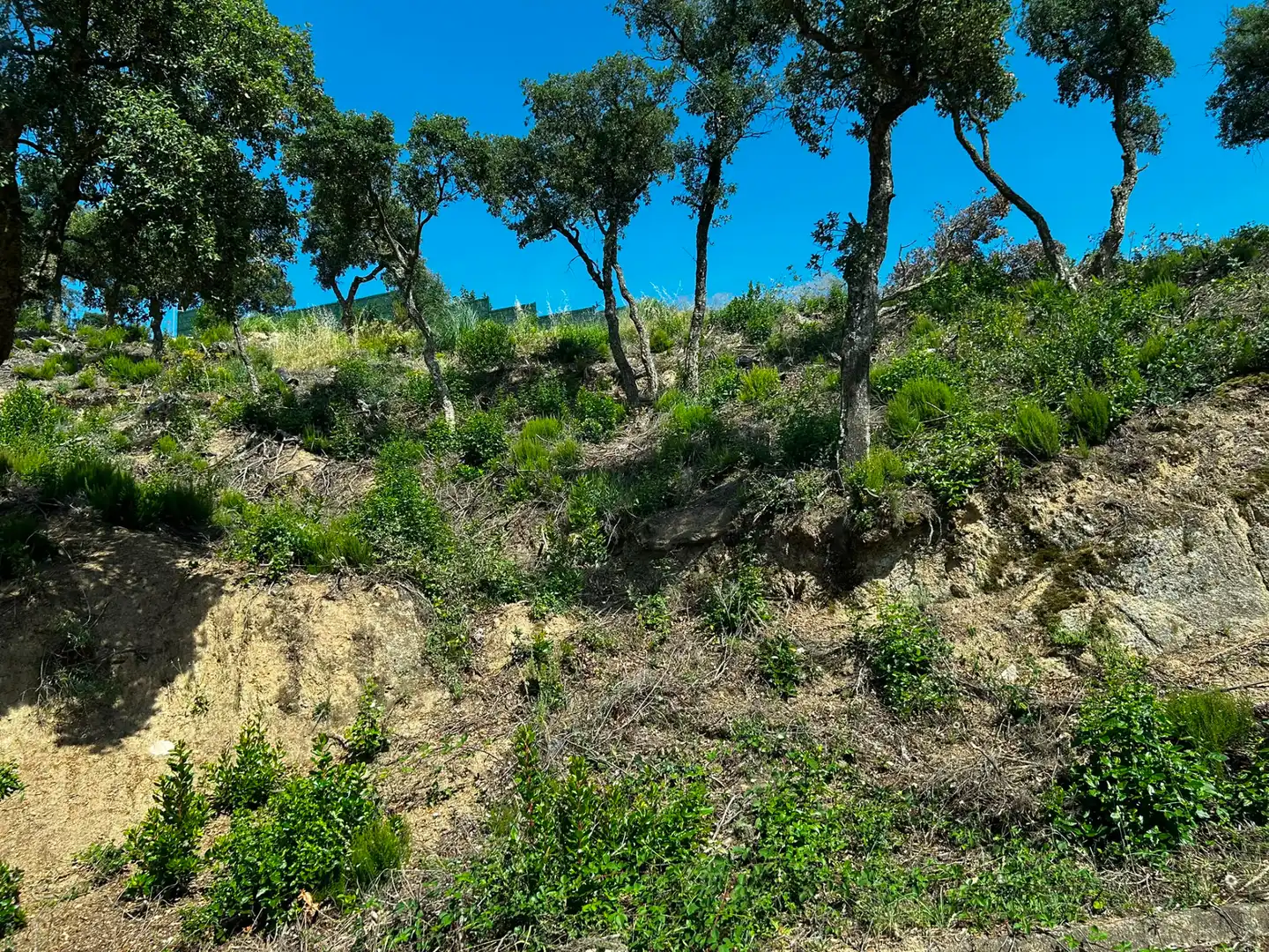 Terreno residencial en venta en Lloret Residencial - Montlloret, imagen 3