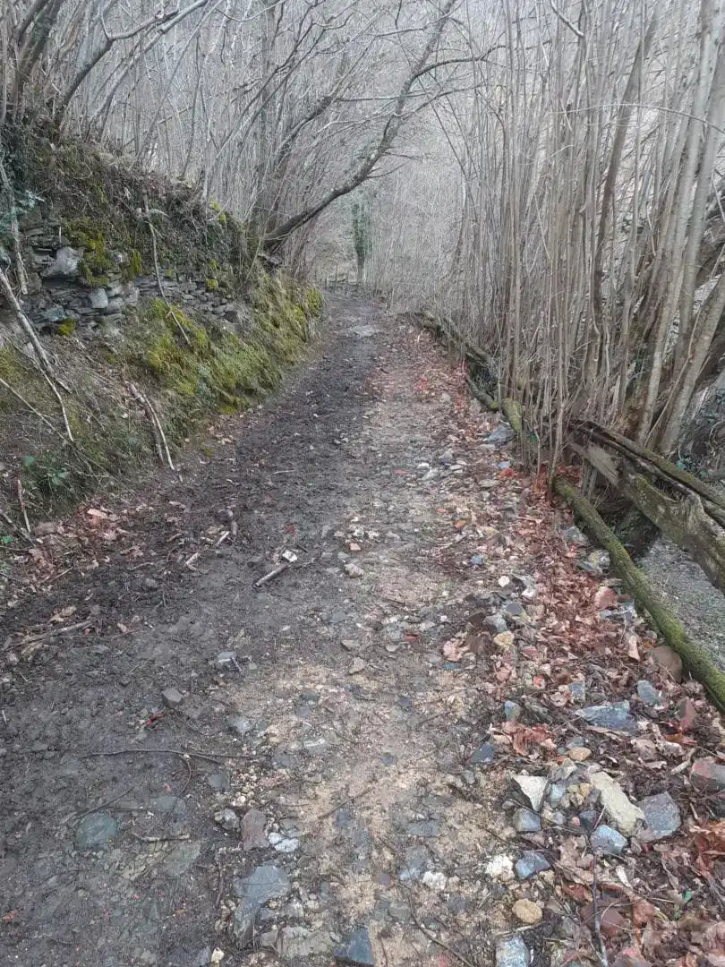Vista exterior de Finca rústica en venda en Caso
