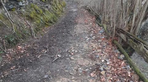 Foto 3 de Finca rústica en venda a Caso, Asturias
