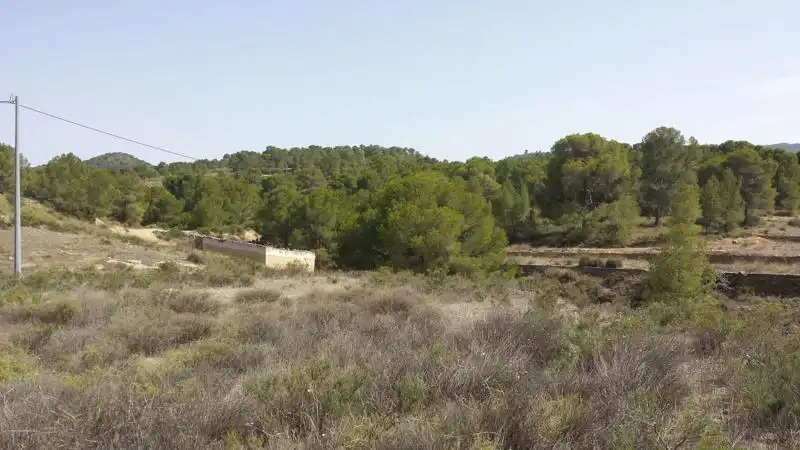Villa avec jardin à vendre à Fortuna, imagen 60